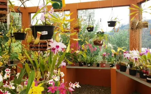 5154_LP_destinos_Orquidario_516x323px