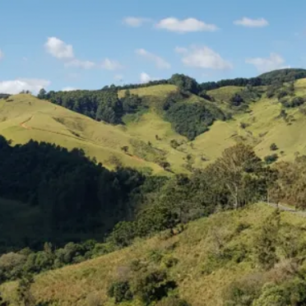 monte verde